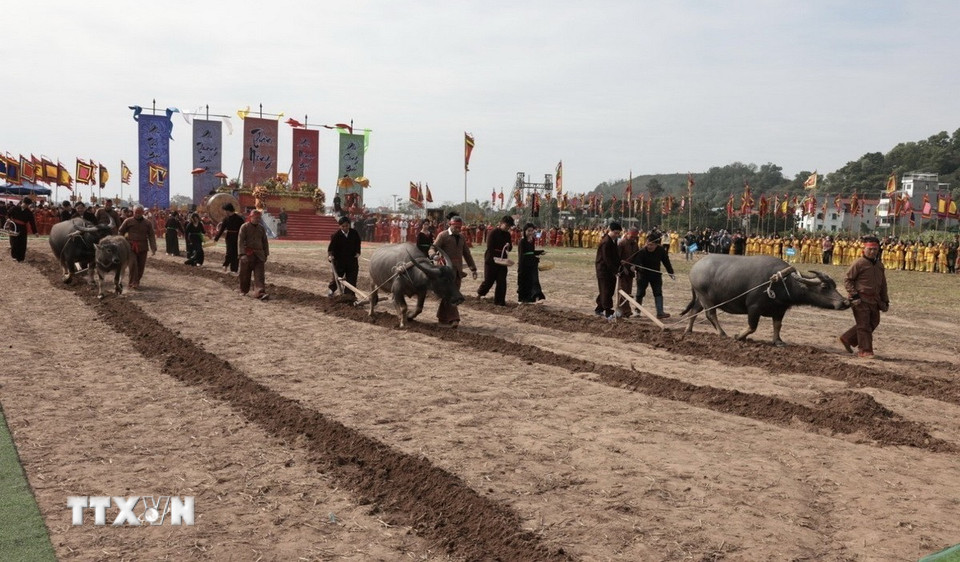 Nông dân thực hiện nghi thức cày ruộng đầu năm. (Ảnh: Trần Việt/TTXVN)