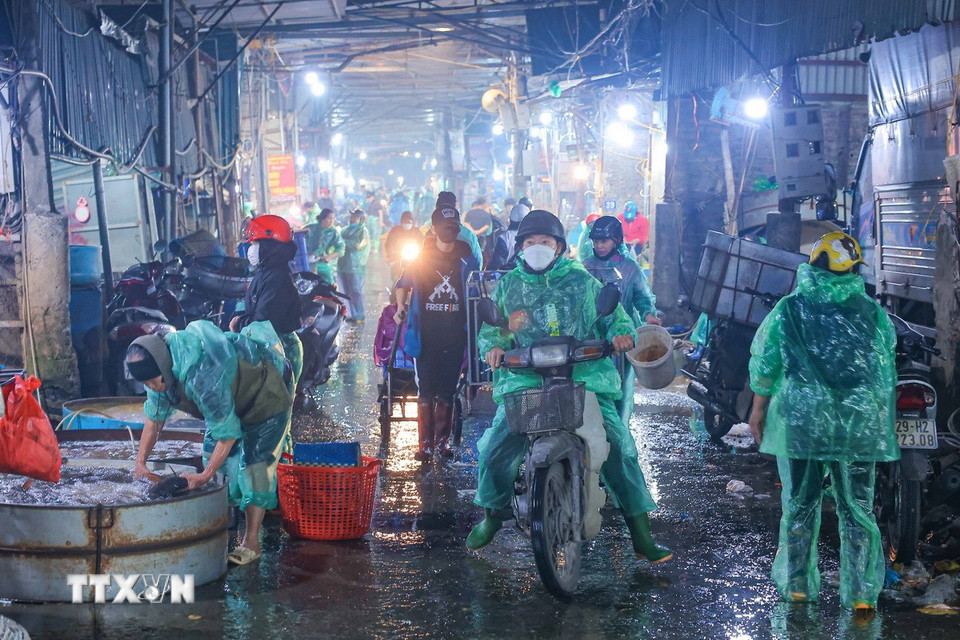 Chợ cá Yên Sở nhộn nhịp dịp lễ ông Công ông Táo. (Ảnh: Hoàng Hiếu/TTXVN)