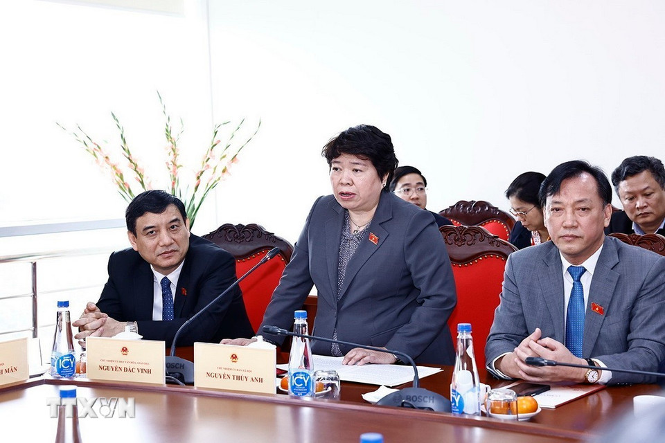 Chủ nhiệm Ủy ban Xã hội của Quốc hội Nguyễn Thúy Anh phát biểu. (Ảnh: Doãn Tấn/TTXVN)