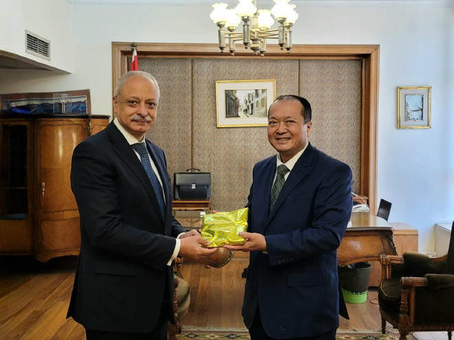 Ai Cập đề nghị thúc đẩy hợp tác hơn nữa trên các lĩnh vực với Việt Nam ảnh 1