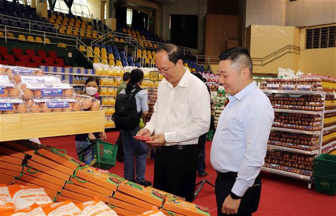 TP. HCM tổ chức hoạt động thiết thực chăm lo Tết cho các hộ khó khăn ảnh 1