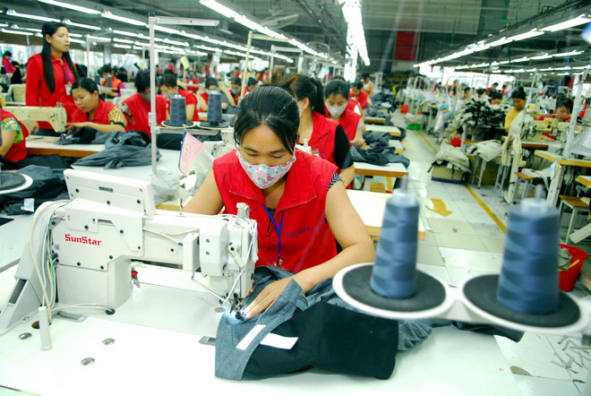 Thương mại hai chiều Việt Nam-EU đạt 19 tỷ USD trong nửa đầu năm ảnh 1