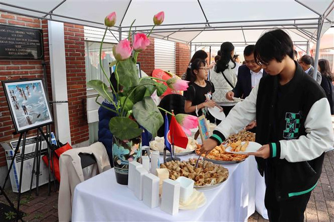 Nhiều hoạt động thú vị nhân Ngày Gia đình ASEAN tại Bỉ ảnh 2