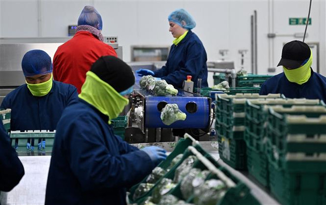 Anh: Tỷ lệ thất nghiệp tăng trong khi tiền lương tăng cao kỷ lục ảnh 1