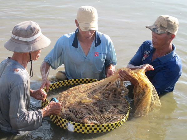 Bộ Công Thương lên tiếng về thương lái mua hàng trái phép ảnh 1