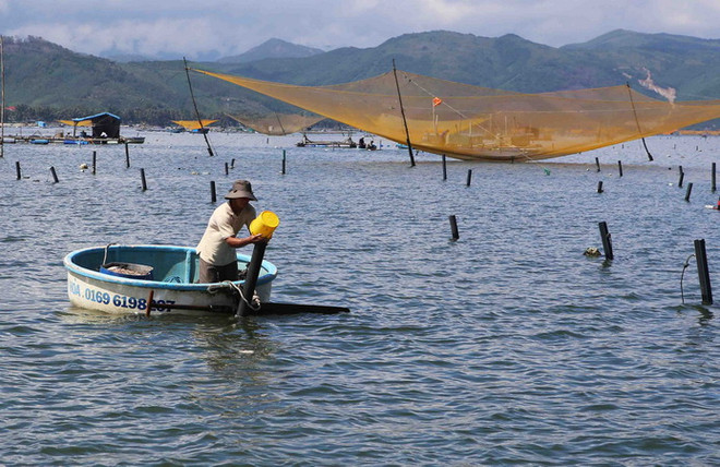 Hoàn thiện dự thảo kế hoạch phát triển ngành tôm đến năm 2025 ảnh 1