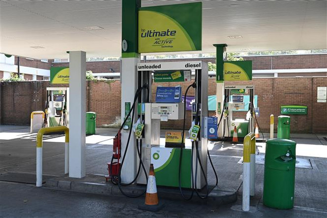 Chính phủ Canada bật đèn xanh cho 2 dự án xuất khí đốt sang châu Âu ảnh 1