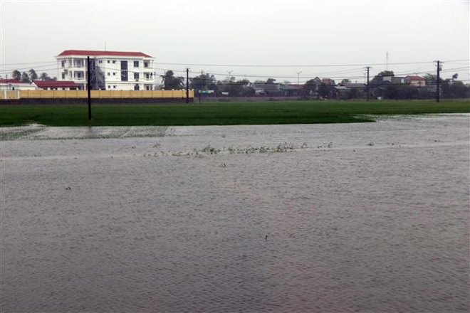 Thừa Thiên-Huế ước tính thiệt hại gần 970 tỷ đồng do mưa lũ trái mùa ảnh 2