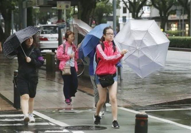 Người dân di chuyển dưới trời mưa do ảnh hưởng của bão Krosa tại Miyazaki, Tây Nam Nhật Bản, ngày 14/8/2019. (Ảnh: Kyodo/TTXVN) Bão Krosa gây thiệt hại nặng nề tại Nhật Bản, nhiều người thương vong ảnh 1