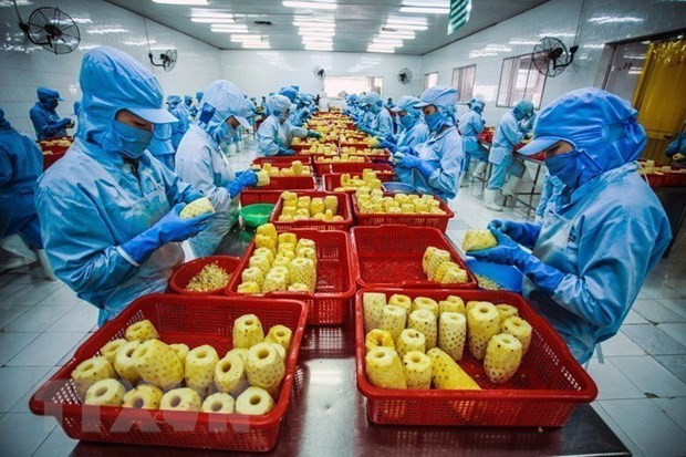 Thúc đẩy tiêu thụ hàng hóa nông sản sang thị trường Trung Quốc ảnh 2