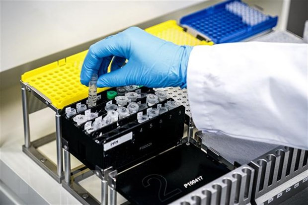 Ảnh minh họa. (Nguồn: AFP/TTXVN) Mỹ tiết lộ chi tiết nghiên cứu tia cực tím tiêu diệt virus SARS-CoV-2 ảnh 1