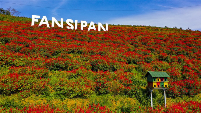 Những điểm du lịch tuyệt vời ở Việt Nam phải đến vào mùa Thu ảnh 6