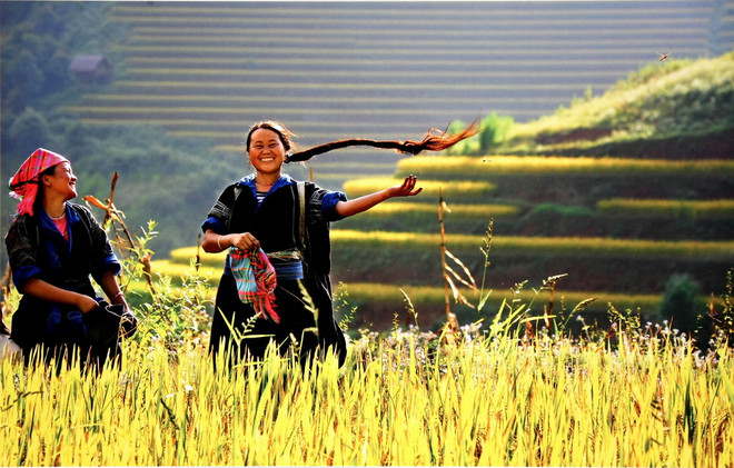 Giải pháp triển khai Nghị quyết về phát triển văn hóa, con người Việt ảnh 1