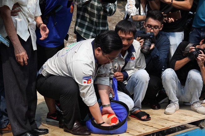Chuẩn bị thả cá xuống sông Tô Lịch. (Ảnh: Sơn Bách/Vietnam+) Hà Nội: Thả cá Koi Nhật Bản xuống sông Tô Lịch và Hồ Tây ảnh 1