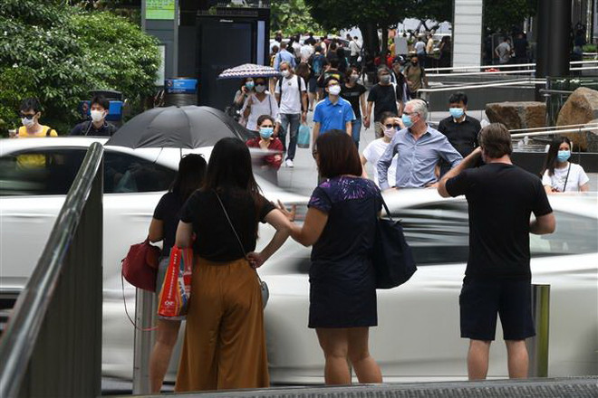 Tín hiệu tích cực của thị trường việc làm tại Singapore ảnh 1