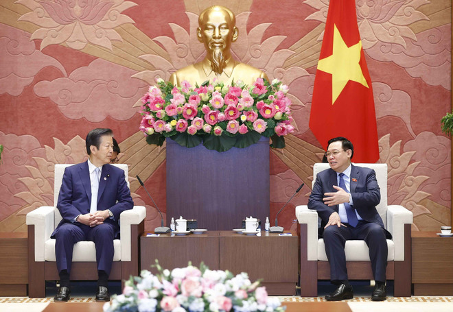 Củng cố và tăng cường hơn nữa quan hệ Việt Nam và Nhật Bản ảnh 2