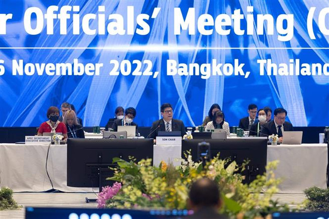 Hội nghị APEC 2022: Ba trụ cột để tăng trưởng bao trùm ảnh 2