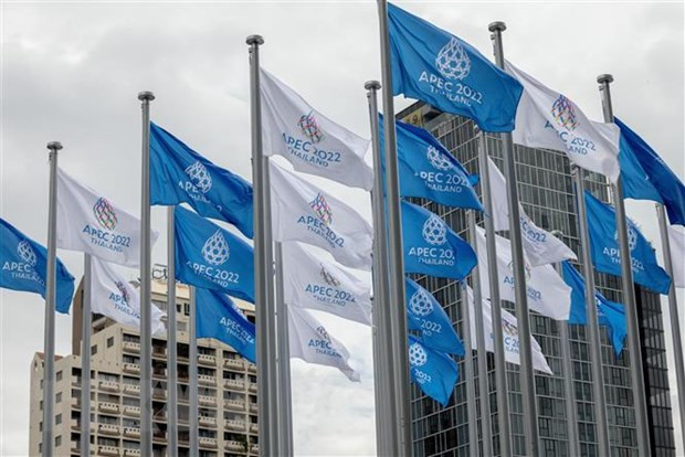Hội nghị APEC 2022: Ba trụ cột để tăng trưởng bao trùm ảnh 1