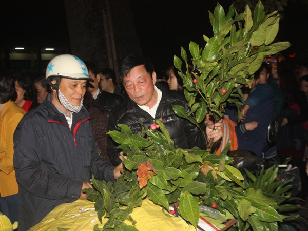 Hà Nội rạo rực chuyển mình sang năm mới Giáp Ngọ ảnh 7