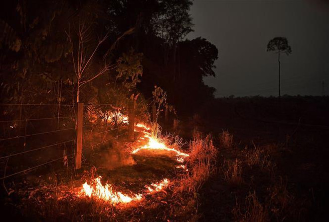 Phát hiện hơn 2.500 điểm nóng cháy rừng tại Đông Nam Á ảnh 1