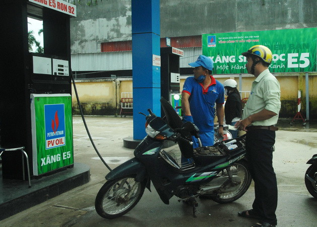 Thành phố Hồ Chí Minh triển khai bán xăng E5 từ ngày 26/11 ảnh 1