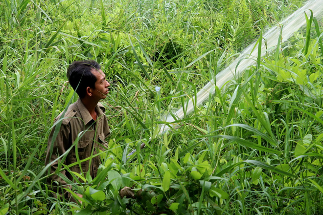 ttxvn-u minh thuong3.jpg