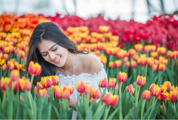 Festive Wonderland - Lễ hội thần tiên tại xứ sở Vinpearl Land ảnh 2