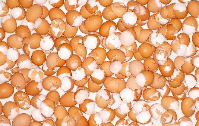 Tám loại thực phẩm giúp cơ thể bạn duy trì năng lượng 24/7 ảnh 6