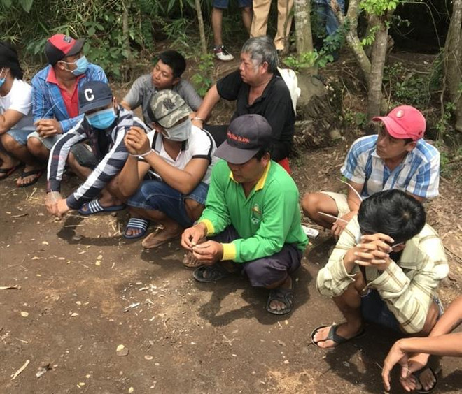 Triệt xóa nhóm đánh bạc bằng hình thức đá gà, bắt giữ 29 đối tượng ảnh 1