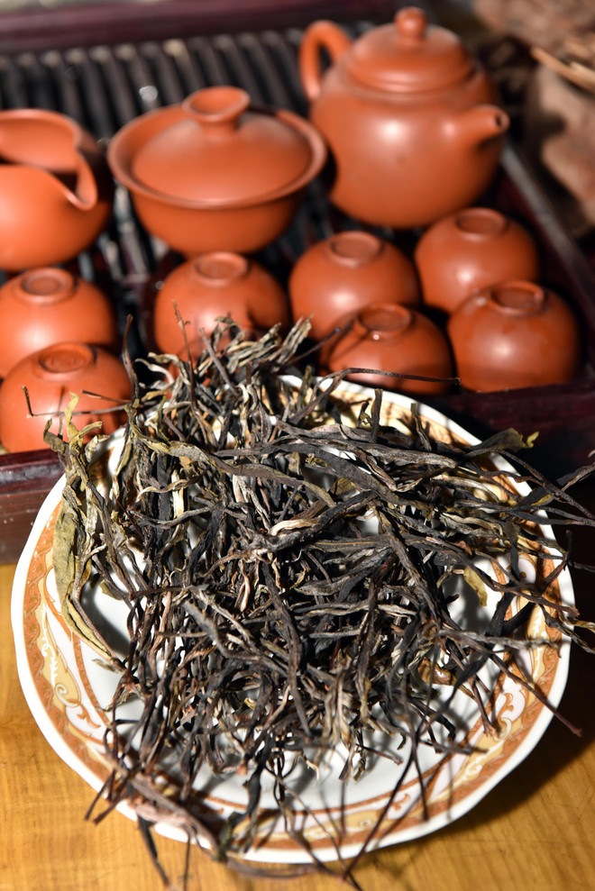 Người Dao Cao Bồ thoát nghèo từ rừng chè Shan tuyết trăm tuổi ảnh 3