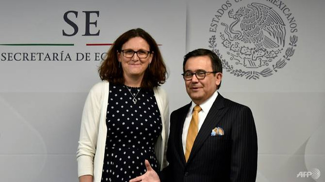 Ủy viên EU phụ trách thương mại Cecilia Malmstrom và Bộ trưởng Kinh tế Mexico Ildefonso Guajardo. (Nguồn: AFP) Liên minh châu Âu và Mexico đạt thỏa thuận sơ bộ về FTA mới ảnh 1