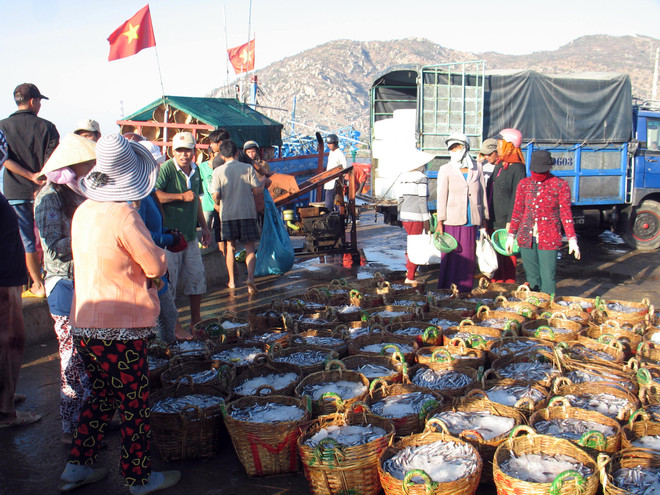 Kinh tế biển là lĩnh vực ưu tiên trong hợp tác Na Uy-Việt Nam ảnh 1