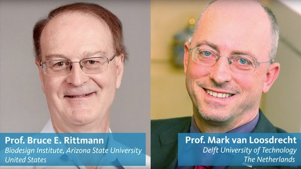 Giải thưởng Nước Stockholm vinh danh công trình xử lý nước thải ảnh 1