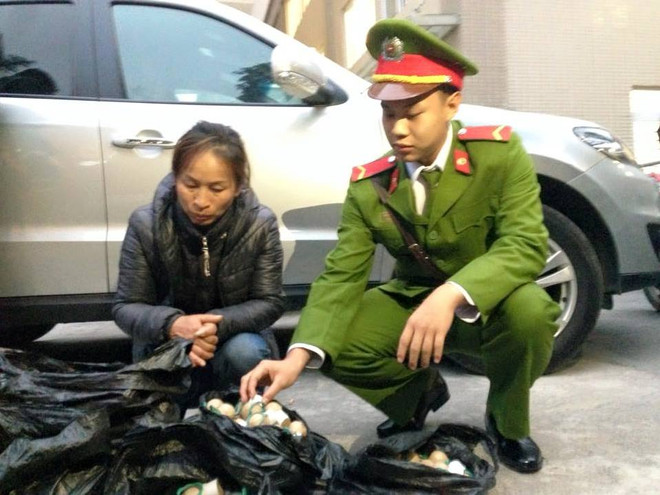 Hà Nội: Bắt giữ đối tượng vận chuyển 750 quả pháo nổ đi tiêu thụ ảnh 1