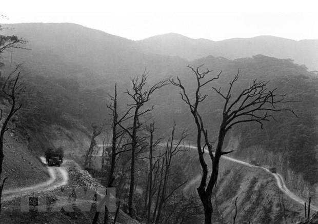 Đường Hồ Chí Minh huyền thoại - Biểu tượng của tình đoàn kết ảnh 2