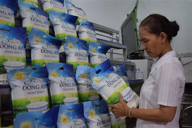 Agribank nhận đăng ký vay vốn để hỗ trợ doanh nghiệp lúa gạo ảnh 1