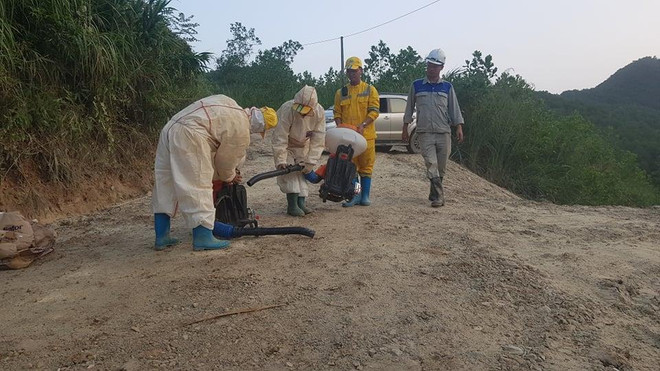 Vụ xả dầu thải đầu nguồn nước: Dùng vi sinh vật 'ăn dầu' xử lý ảnh 3