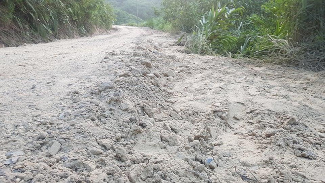 Vụ xả dầu thải đầu nguồn nước: Dùng vi sinh vật 'ăn dầu' xử lý ảnh 6