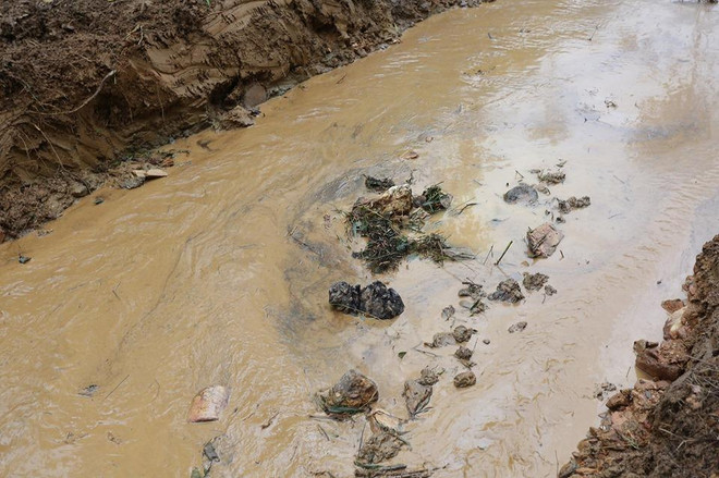 Đầu nguồn nhà máy nước sông Đà ra sao sau 9 ngày ‘ngậm dầu’? ảnh 2