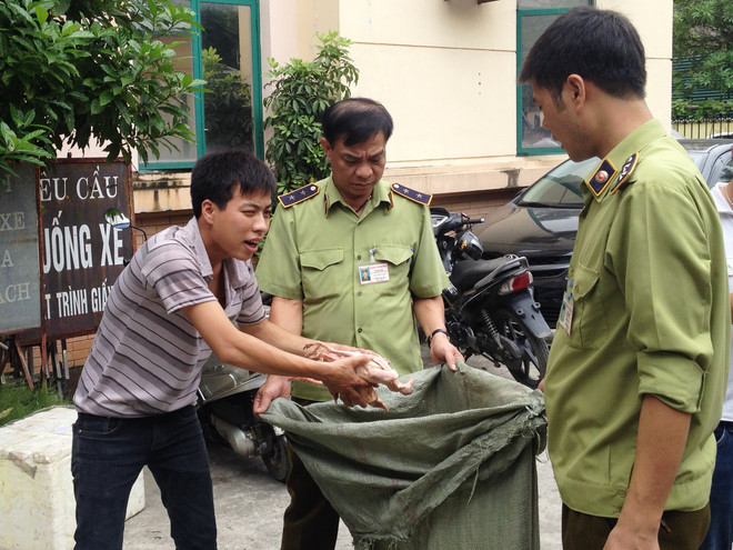 Tạo khoang bí mật, tài xế đưa 400kg chim đông lạnh lậu về Thủ đô ảnh 1