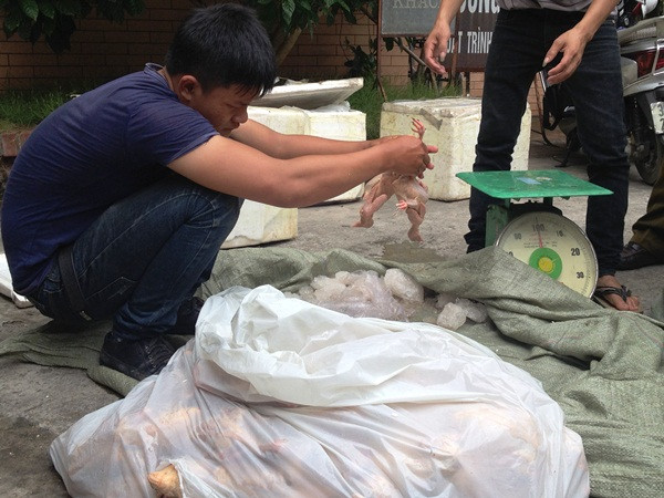 [Video] Tạo khoang bí mật, đưa chim đông lạnh lậu tuồn về Hà Nội ảnh 1