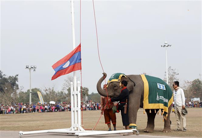 Ấn tượng với lễ hội voi Xayaboury lớn nhất của đất nước Lào ảnh 2