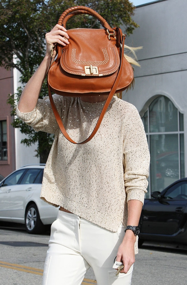 Khám phá bộ sưu tập túi cưng của các ngôi sao Hollywood ảnh 3