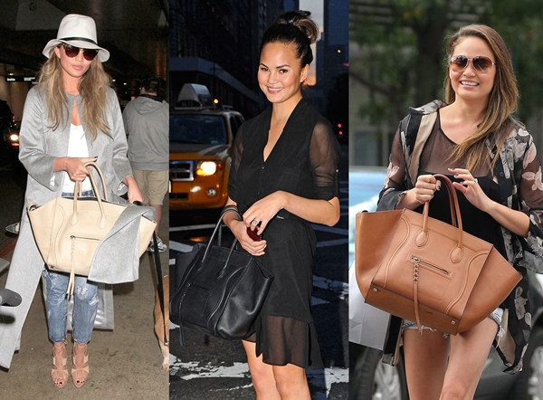 Khám phá bộ sưu tập túi cưng của các ngôi sao Hollywood ảnh 6