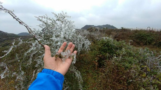 Băng tuyết phủ trắng - Ô Quy Hồ, Hà Giang như trong cổ tích ảnh 5