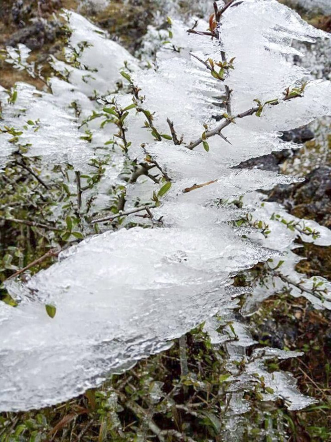 Băng tuyết phủ trắng - Ô Quy Hồ, Hà Giang như trong cổ tích ảnh 8