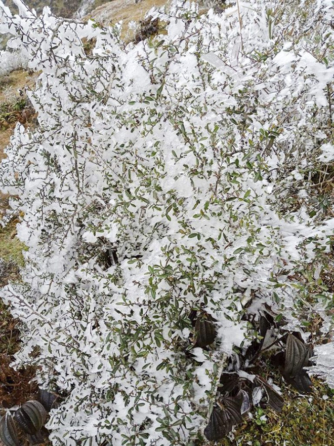 Băng tuyết phủ trắng - Ô Quy Hồ, Hà Giang như trong cổ tích ảnh 6