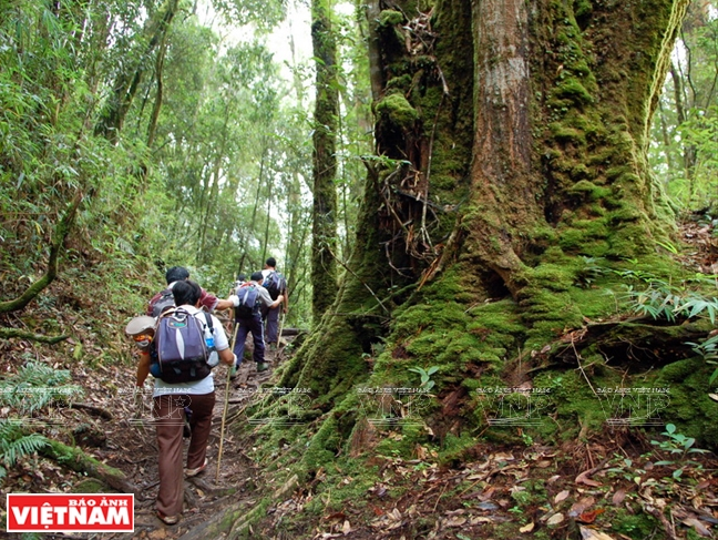 Hoàng Liên Sơn - Điểm đến hấp dẫn của thế giới năm 2019 ảnh 14