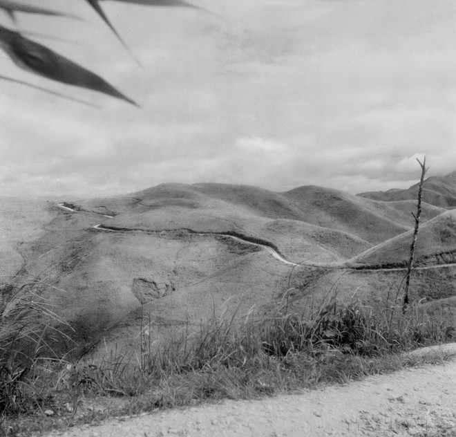 ttxvn-phao binh8-2.jpg