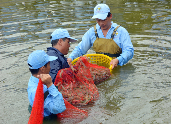 Hỗ trợ kinh phí cho 28 mô hình sản xuất thích ứng biến đổi khí hậu ảnh 1